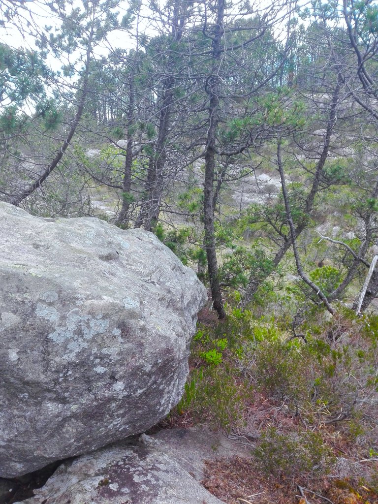 Hisilicon Balong